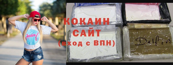индика Нестеровская