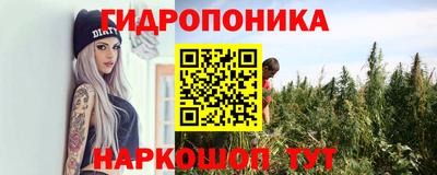 spice Краснодар