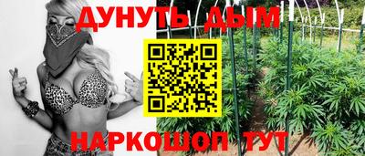 шишки Краснознаменск