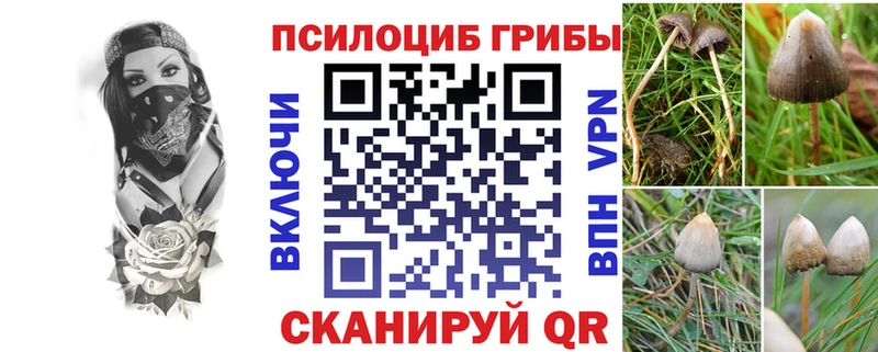 Псилоцибиновые грибы прущие грибы  Феодосия 