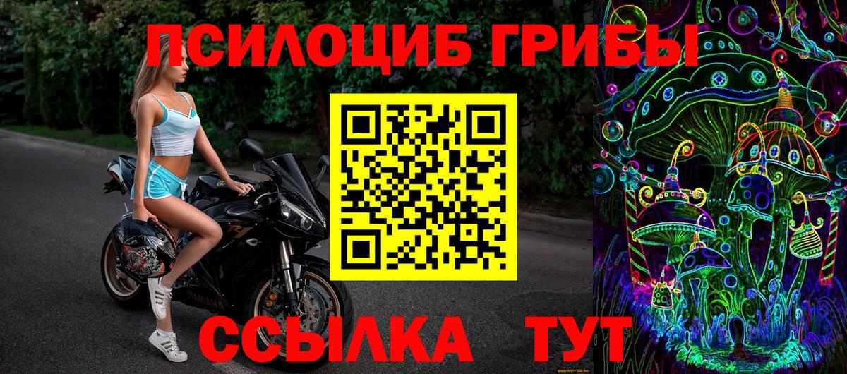 дарнет шоп  Галлюциногенные грибы мухоморы  Феодосия  Вход с VPN  Псилоцибиновые грибы мухоморы 